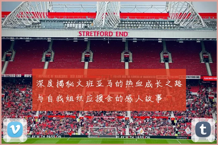 深度揭秘文班亚马的热血成长之路与自我组织应援会的感人故事